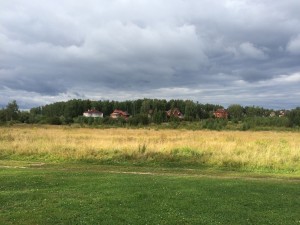 grove (6) 